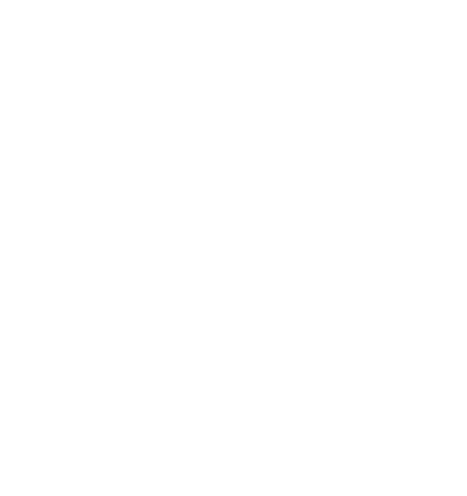 Ginko Blatt in weiß